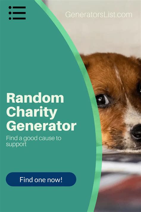 charity name generator|random charity generator.